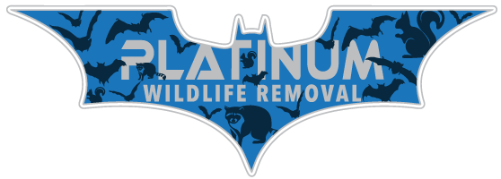 Bugfix LLC
